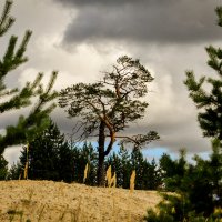 Последний день лета :: Василий Хорошев