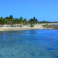 пальмовый пляж,коста-майя,мексика :: евгений вотерс
