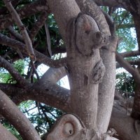Дерево из сказки :: Герович Лилия 