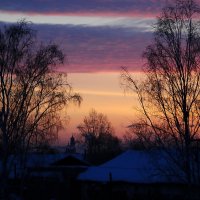 Морозное утро :: lyudmila Курлова