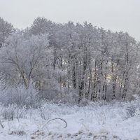 укутало снегом :: Петр Беляков