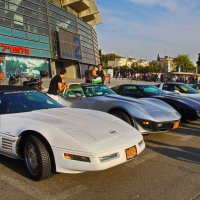 Corvette - дефиле :: M Marikfoto