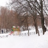 зима в парке :: георгий  петькун 