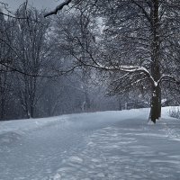 "Зима купается в снегу, в лесах клубится тишина.." :: Юрий Лузик