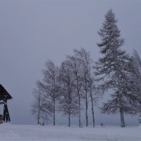 Зима :: Елена П