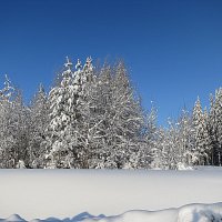 Красота января. :: Валентина Жукова