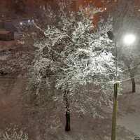 Ночной  снегопад :: Владимир Рыбак
