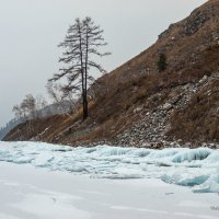 Ледяные берега :: Sait Profoto