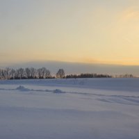 Зима в поле :: Светлана З