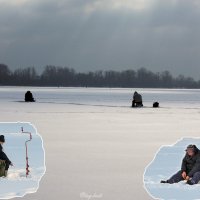 Зимняя рыбалка на Днепре :: Тамара Бедай 