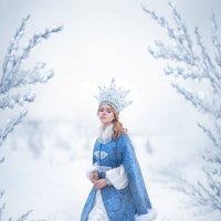 Снежная королева :: Анастасия 