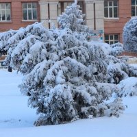 Зима в городе :: Надежд@ Шавенкова