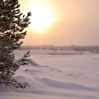 Сейчас феврль Красиво, белоснежно Сейчас февраль, Снежок кружится нежно… :: Елена Третьякова