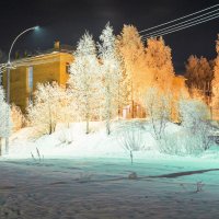 Когда в родной школе актированный день) :: Николай Зиновьев