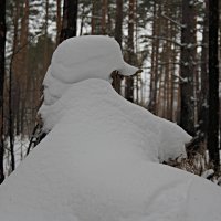 Природа лучший скульптор. :: Николай Масляев