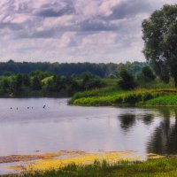 Голубая дымка :: Владимир Шамота