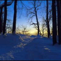 Рассвет в зимнем лесу :: Алексей Патлах