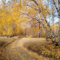 Про золотую осень :: Михаил Пахомов