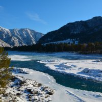 В солнечный морозный день. :: Валерий Медведев