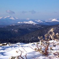 Природный Парк Ергаки.Саяны. :: Любовь Иванова