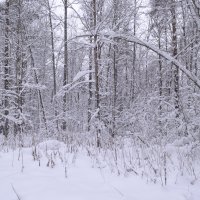 ... :: Михаил Жуковский