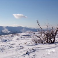 Природный Парк Ергаки.Саяны :: Любовь Иванова