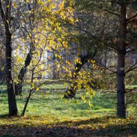 *** :: Владимир Безбородов