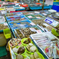 Рыбный рынок в Гонконге. :: Edward J.Berelet