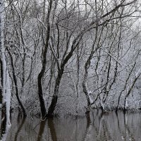 одиночество :: Ирина Дашкова-Красникова