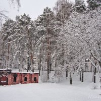 Вот такая снежная зима :: Лидия (naum.lidiya)