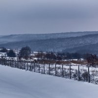 Зима :: Владимир Дальский