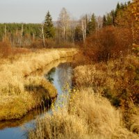 Осень  Левитана... :: Анна Суханова