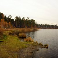 Осень на озере :: Анна Суханова