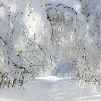 Прогулка по владениям Снежной королевы.. :: Igor Konstantinov 