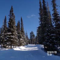 Природный Парк Ергаки :: Любовь Иванова