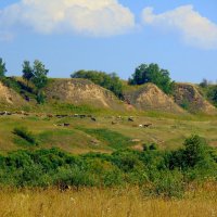 По долинам и по взгорьям... :: nadyasilyuk Вознюк