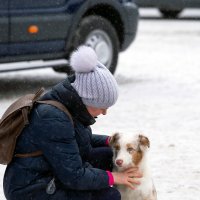 Девушка и собачка.. :: Владимир Питерский