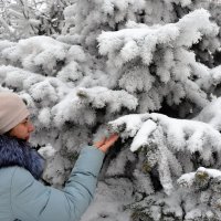 После снегопада :: Галина Aleksandrova
