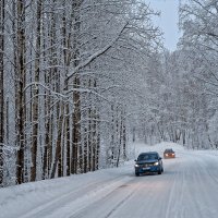 Зимние дороги :: Дмитрий Конев
