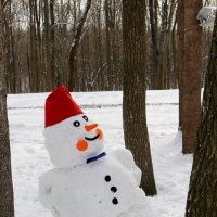 Снеговик с артистической натурой :: Надежд@ Шавенкова