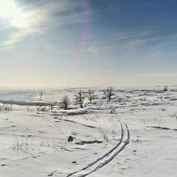 Под февральским небом.. :: Андрей Заломленков