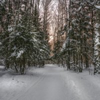 После снегопада :: Александр Попович