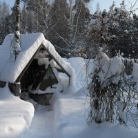 У старого колодца. :: Андрей Зайцев