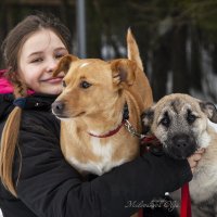 Соня с Майло и Юмбриком :: Ольга Милованова