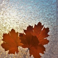 Осенние листья на зимнем окне :: Сергей Чиняев 