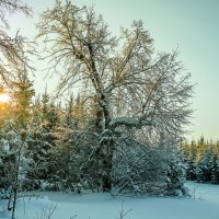 Закат зимой :: Андрей Щетинин