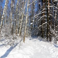 зима :: Владимир Холодницкий