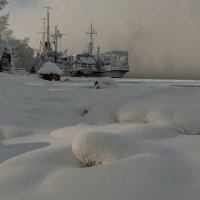 Февральские морозы... -31 :: Сергей Герасимов