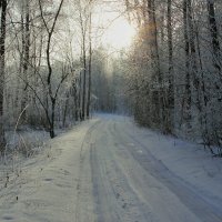 Солнечные лучики :: Agapa ***