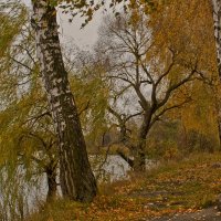 Осенние картинки :: Ольга Винницкая (Olenka)